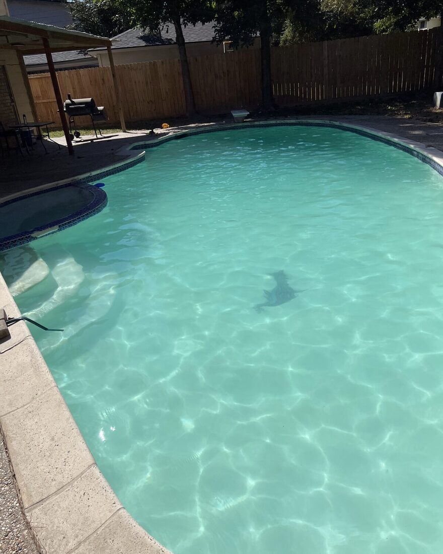 Same pool crystal clear after Neptune green-to-clean service
