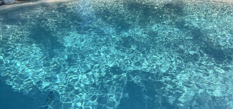 Sparkling pool in Wesley Chapel FL