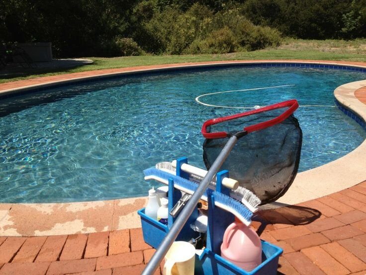 Pool and spa maintained in Carrollwood FL